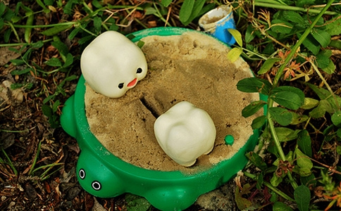 哪些智齿是需要拔出的