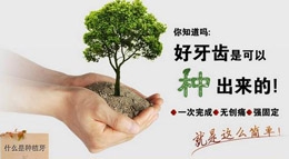 最适合亚洲人的种植体——韩国奥齿泰的优势